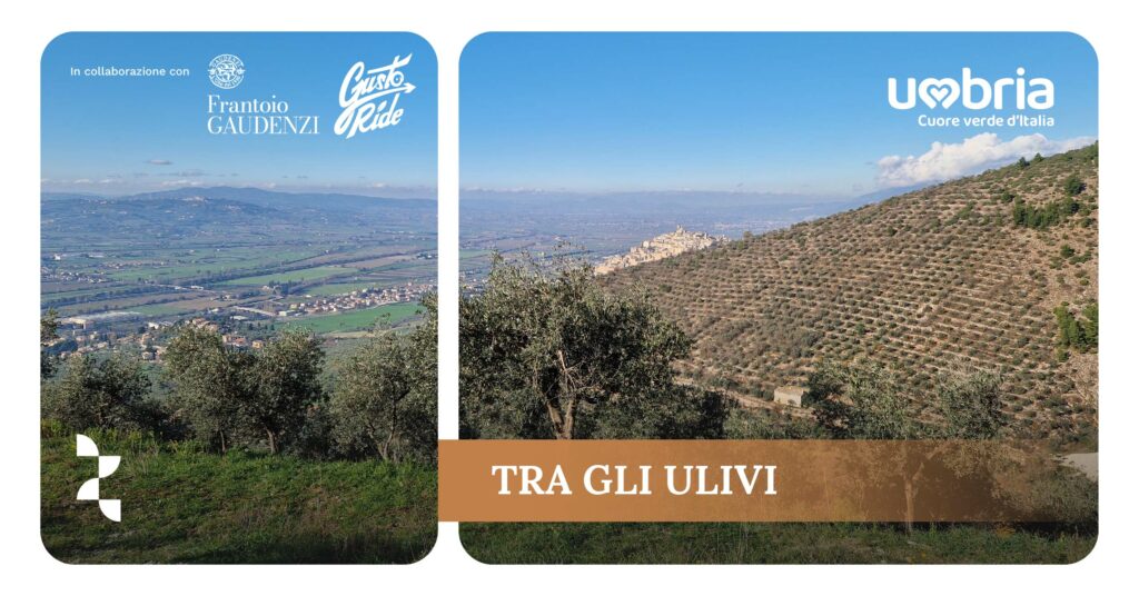 TRA GLI ULIVI Trekking e bike nella Fascia Olivata con degustazione (Frantoio Gaudenzi – Trevi) | EVENTO GRATUITO   Domenica 20 ottobre 2024 