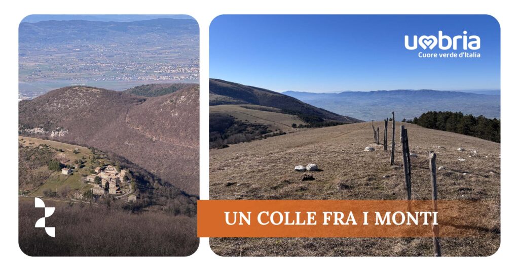 UN COLLE FRA I MONTI Escursione da Ponze al Monte Lagarella    Domenica 23 febbraio 2025 