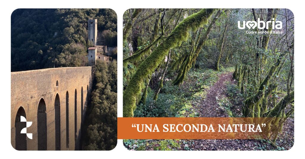 “UNA SECONDA NATURA” Escursione a Spoleto: i boschi, il Ponte, la Rocca e San Porziano   Domenica 2 febbraio 2024 